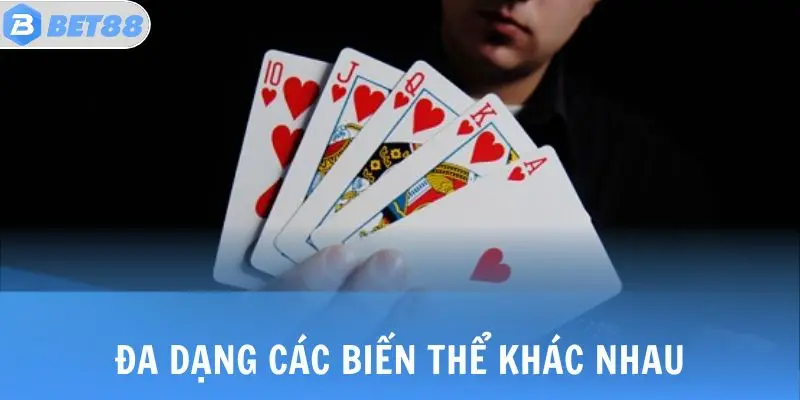 Đa dạng các biến thể khác nhau