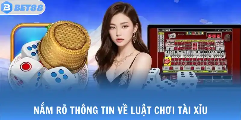 Nắm rõ thông tin về luật chơi tài xỉu