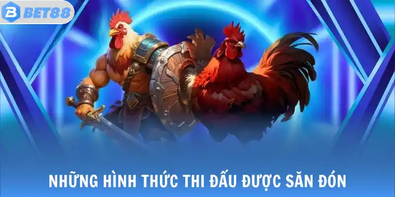 Những hình thức thi đấu được săn đón