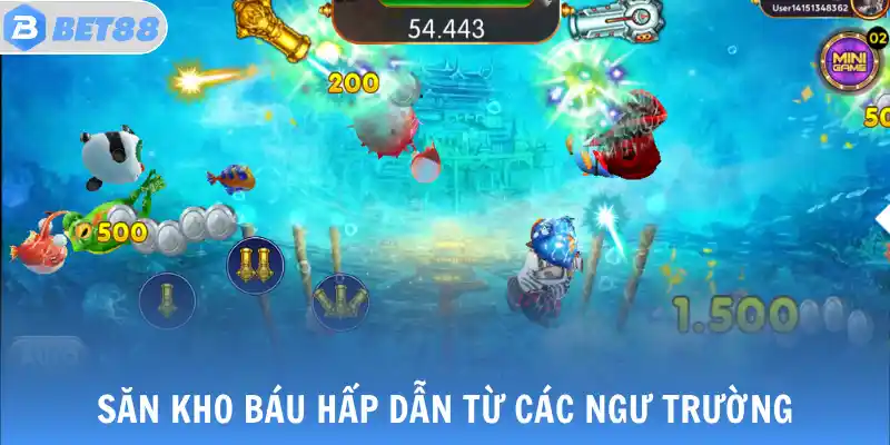 Săn kho báu hấp dẫn từ các ngư trường