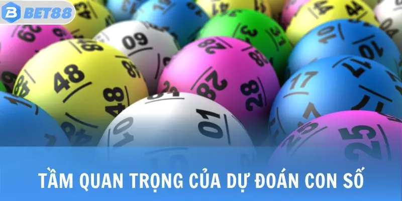 Tầm quan trọng của dự đoán con số